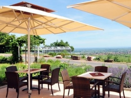 Foto: Hotel Haus am Weinberg